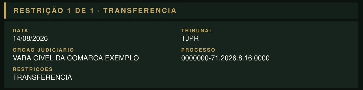 Bloco da restrição RENAJUD na amostra, com data, tribunal, órgão judiciário, processo e modalidade de transferência.
