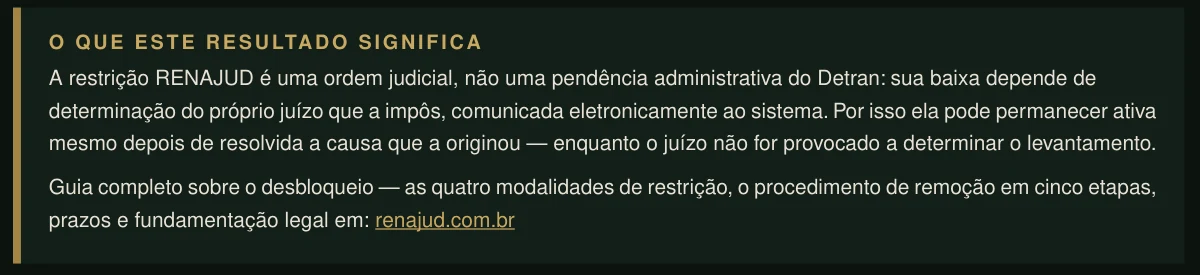 Bloco explicativo da amostra RENAJUD dizendo que a restrição é ordem judicial e depende do juízo.